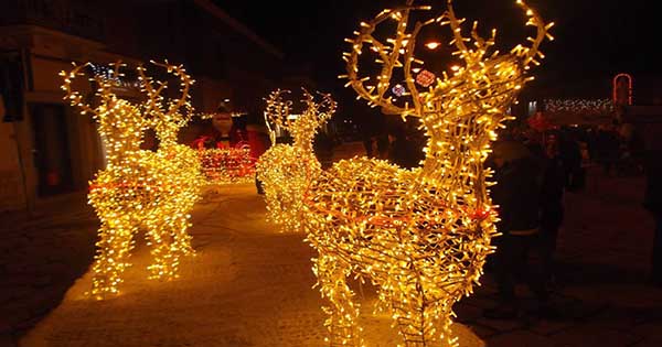 Immagini Natalizie Spettacolari.A Venosa Incantano I Mercatini E La Spettacolare Slitta Di Babbo Natale Ecco Le Foto